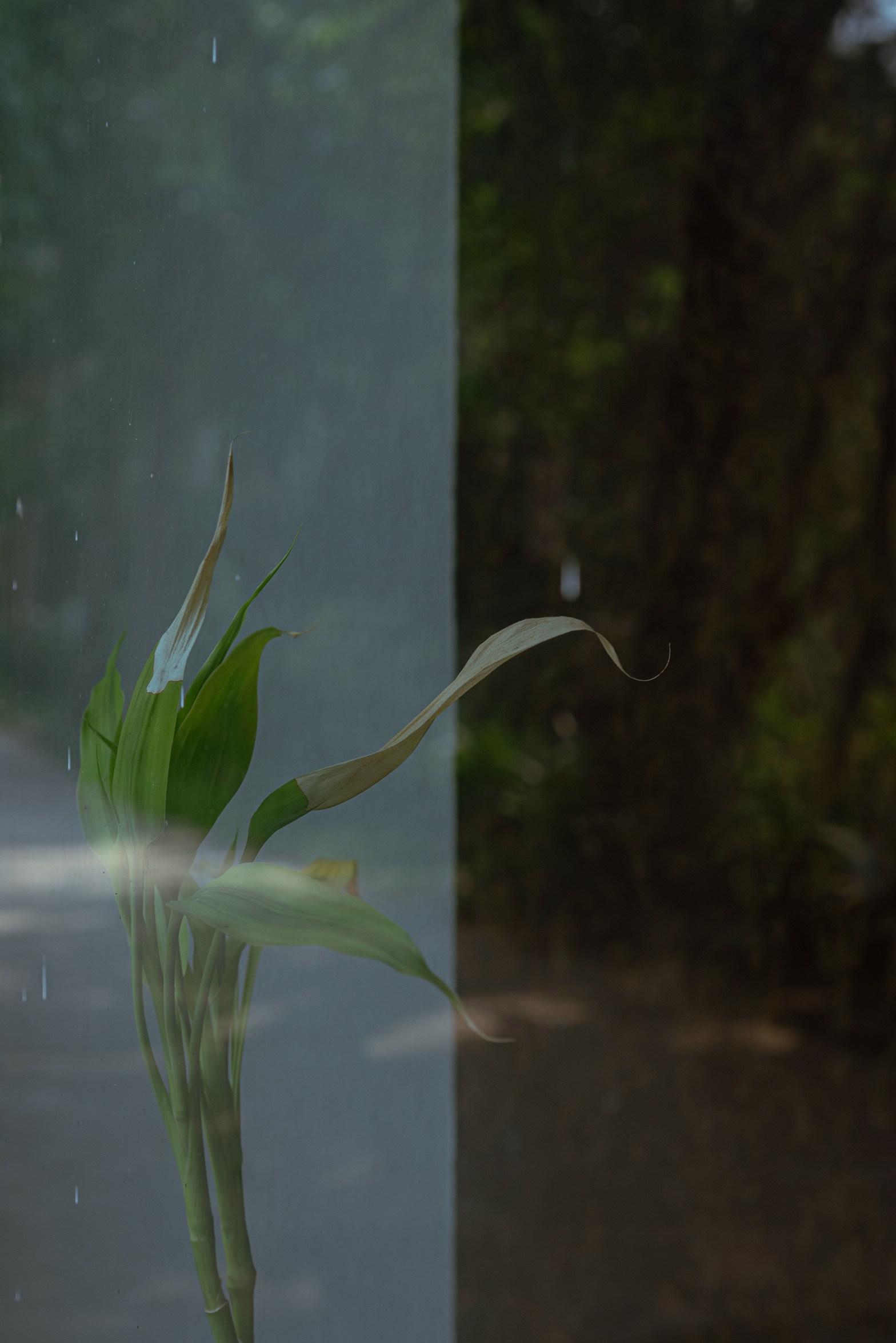 Online Gender Based Violence: Story&nbsp;Five